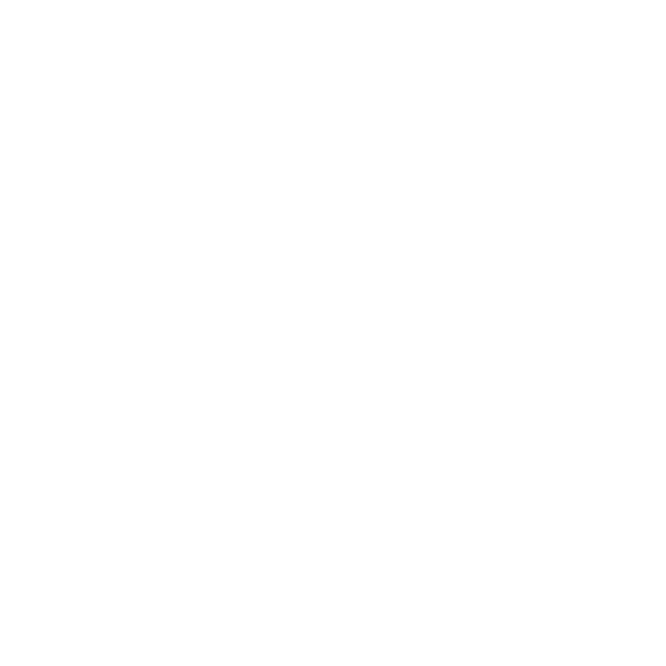 icon-wit